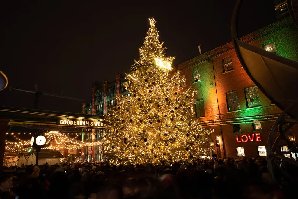 Christmas tree with glowing lights as a cozy escape from winter blues